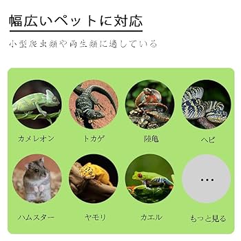タイムセール　爬虫類飼育セット　トカゲ Amazon | 爬虫類ケージ飼育容器、トカゲケージ、爬虫類ケージ